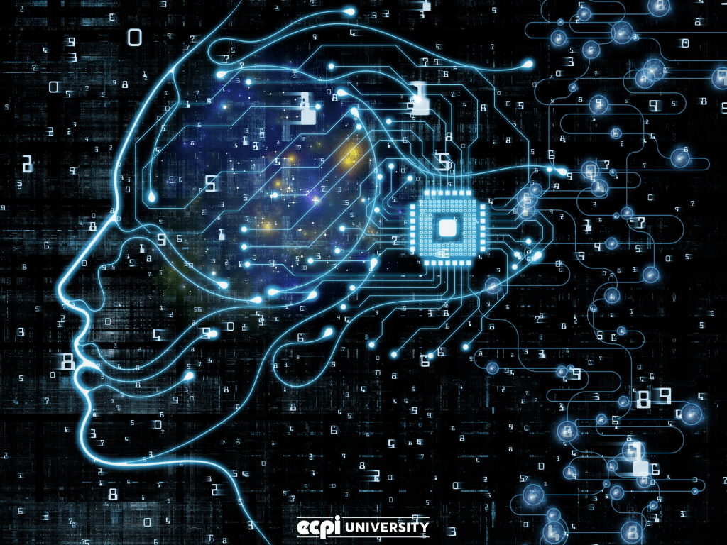 Are Information Systems and Information Technology the Same Which Is